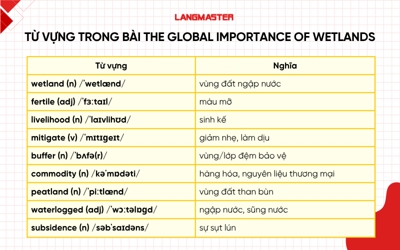 Từ vựng nổi bật trong bài The Global Importance of Wetlands
