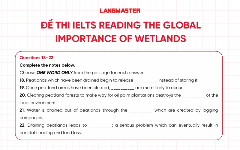 Đề bài IELTS Reading The Global Importance of Wetlands