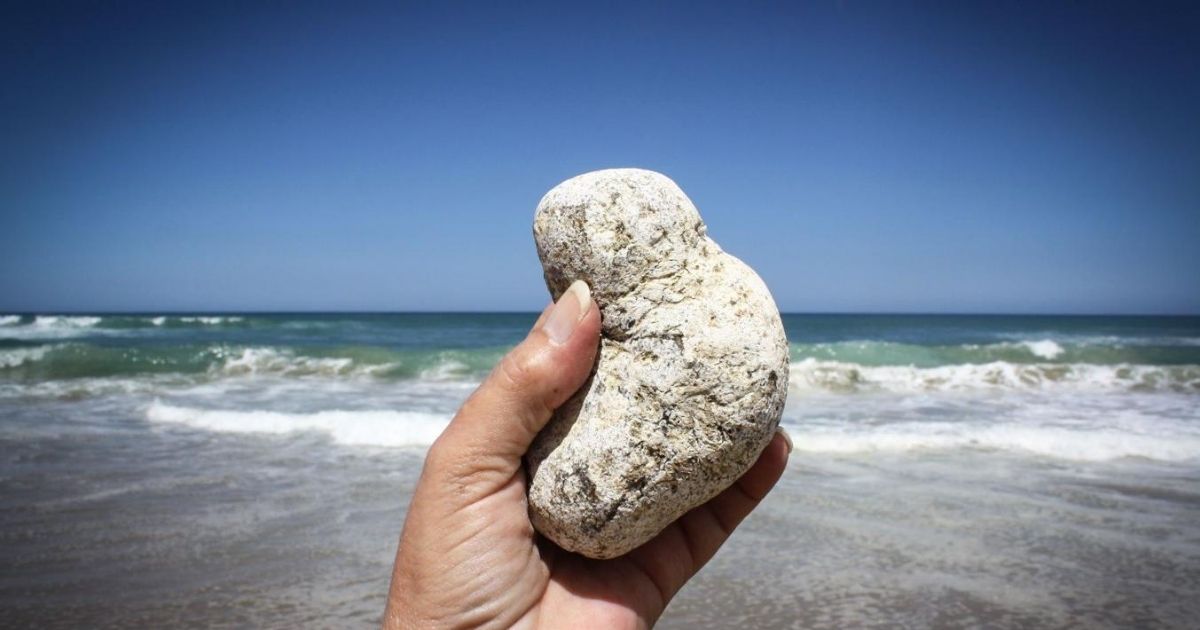 Ambergris – what is it and where does it come from?
